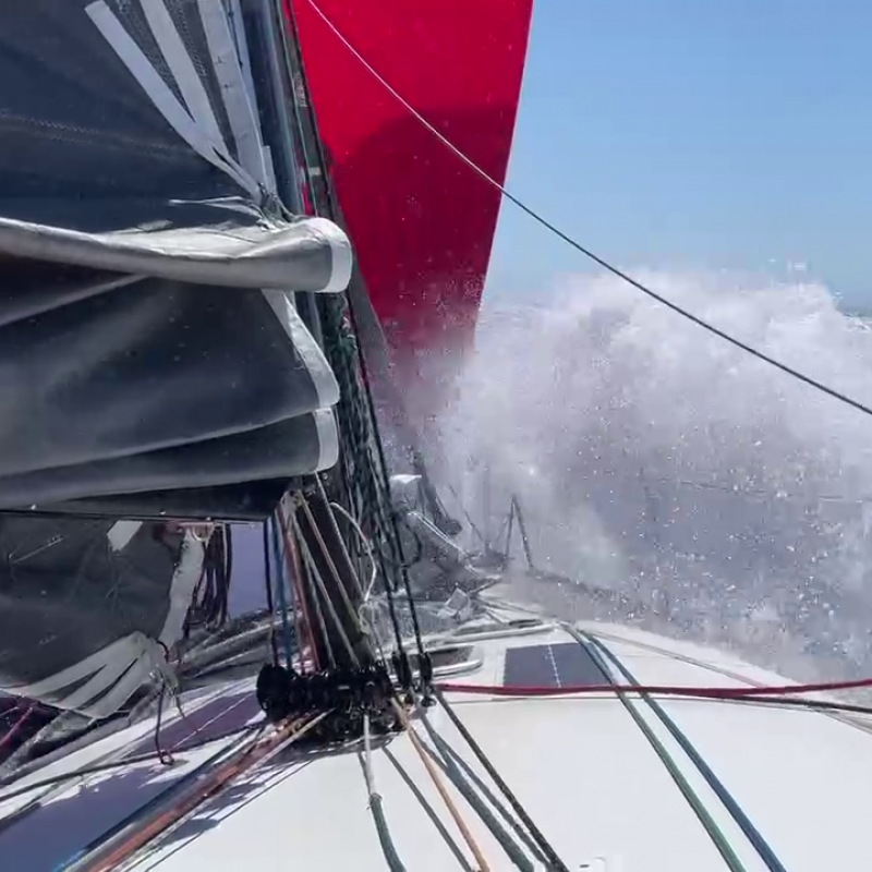 Performancetraining Pogo 12.50